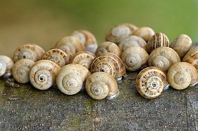 《王国之心》全系列宣布登陆Steam 6月13日发售