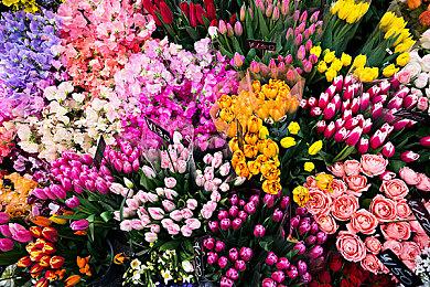 《暗黑地牢》系列旁白解说配音员韦恩·朱恩去世